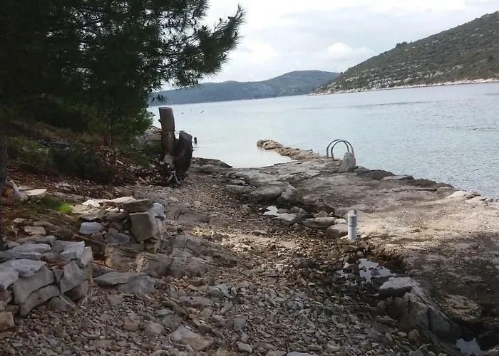 Pearl Veliki Drvenik